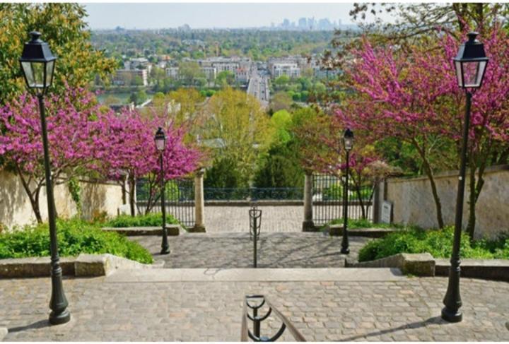 Saint-Germain-En-Laye: Grand Studio En Centre Ville A 2 Minutes Du Rer Luaran gambar